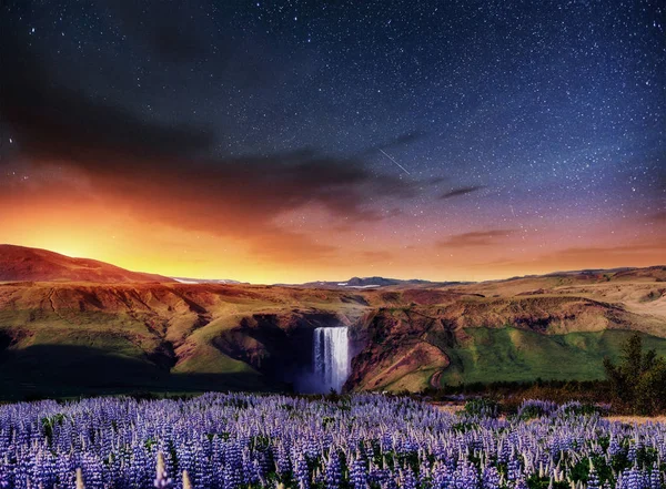 大瀑布 Skogafoss 在冰岛南部的 Skogar 镇附近 戏剧性和风景如画的场面 野生蓝色羽扇盛开在夏天 梦幻般的星空 — 图库照片