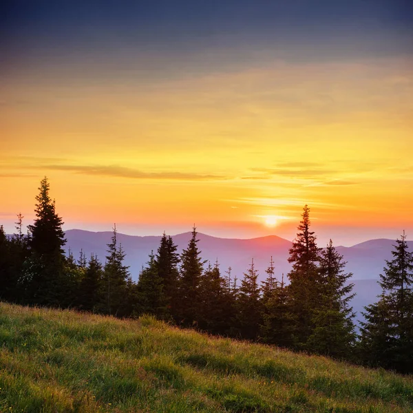 Mooie Zomerse Berglandschap Blauwe Kleur Van Bergen Tijdens Zonsondergang Dramatische — Stockfoto