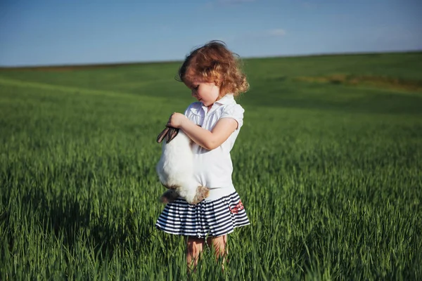 Baby Konijn Een Veld Van Groene Tarwe — Stockfoto