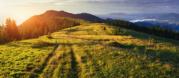 Ukrayna'nın dağlarda fantastik günbatımı.