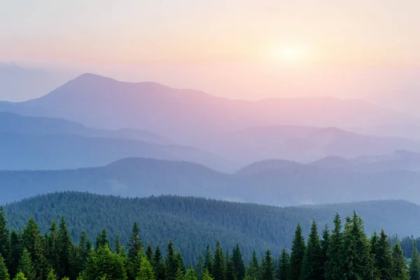 幻想的な霧の日や日光によって明るい丘 劇的な朝の風景 カルパティア ウクライナ ヨーロッパ — ストック写真