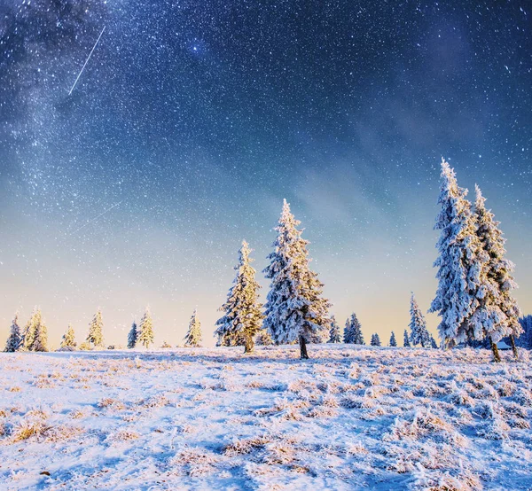 Mléčné Výrobky Star Trek Zimním Lese Dramatické Malebné Scény Karpaty — Stock fotografie