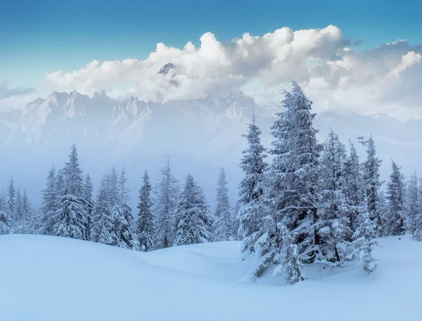 神秘的冬季景观雄伟壮观的山脉 神奇的冬雪覆盖的树 戏剧性的冬季场面 喀尔巴阡山 乌克兰 — 图库照片