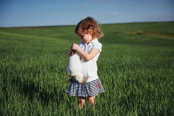 緑の小麦畑で赤ちゃんウサギ — ストック写真