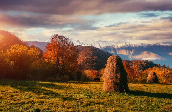 Pohoří Karpatských Horách Podzimní Sezóně Nejfantastičtějším Západu Slunce Ukrajina Evropa — Stock fotografie
