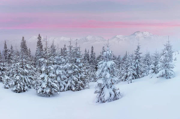 Mysterieuze Winter Landschap Majestueuze Bergen Winter Magische Winter Sneeuw Bedekte — Stockfoto