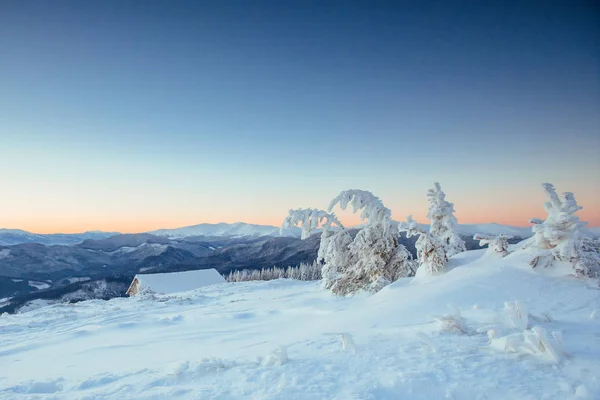 幻想的な冬の風景 キャビンにつながるステップ 冷ややかな日で魔法のイベント 休日を見越して 劇的な場面 カルパティア ウクライナ ヨーロッパ — ストック写真