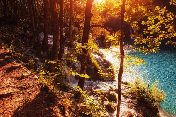 Vacker Utsikt Runt Turkost Vatten Plitvicesjöarna Kroatien Europa Ljusa Hösten — Stockfoto