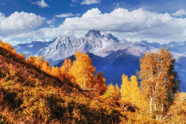 Paksu Sumu Vuoristosolalla Goulet Georgia Svaneti Euroopassa Kaukasuksen Vuoret — kuvapankkivalokuva