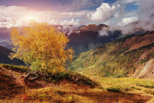 Herfst Landschap Besneeuwde Bergtoppen Berk Bos Zonlicht Main Kaukasische Ridge — Stockfoto