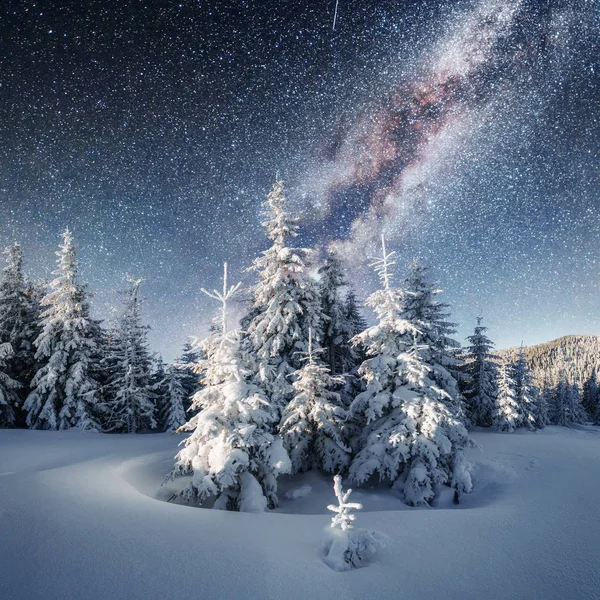 Mleczne Star Trek Zimowym Lesie Sceny Dramatyczne Malownicze Oczekiwaniu Wakacje — Zdjęcie stockowe