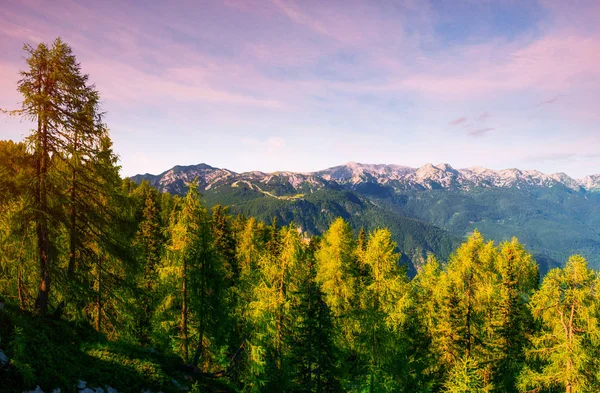 Pasmo Górskie Karpatach Sezonie Jesiennym — Zdjęcie stockowe