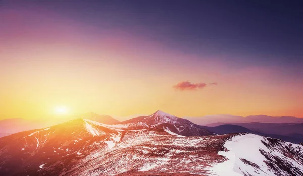 Magische Winter Sneeuw Overdekte Boom Zonsondergang Karpaten Oekraïne Europa — Stockfoto