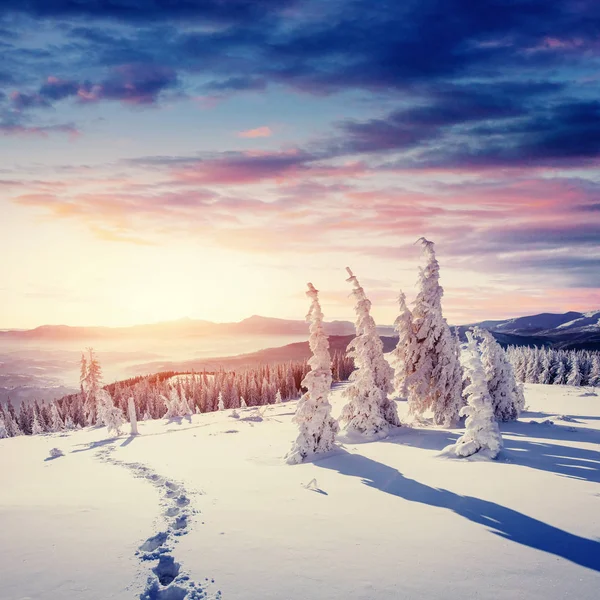 Fantastische Winterlandschap Versleten Trail Leidt Bergen Zonsondergang Afwachting Van Vakantie — Stockfoto