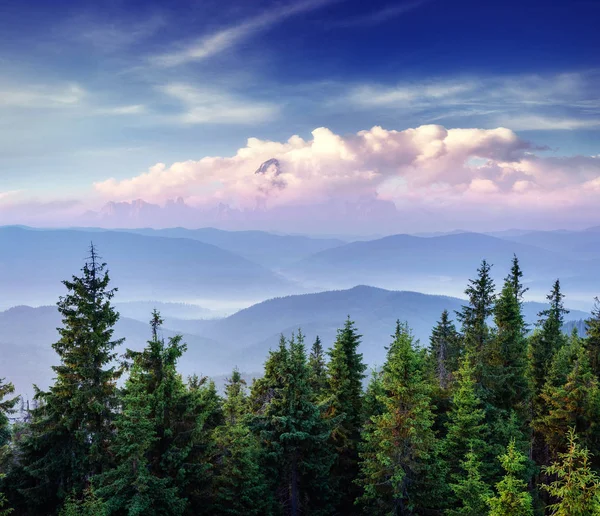 Hermoso Paisaje Montaña Verano Escena Dramática Cárpatos Ucrania Europa Imagen — Foto de Stock