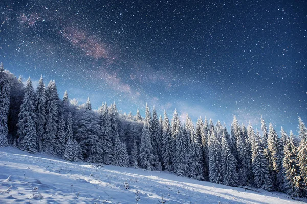 Ciel Étoilé Hiver Nuit Enneigée Fantastique Voie Lactée Dans Saint — Photo