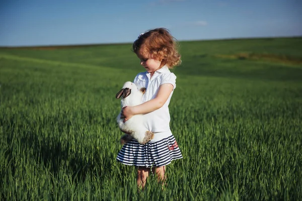 Baby Rabbit Field Green Wheat — Stock Photo, Image