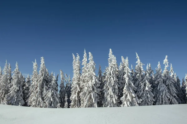 Mysterieuze Winter Landschap Majestueuze Bergen Winter Magische Winter Sneeuw Bedekte — Stockfoto