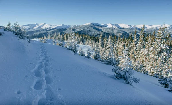 Paesaggio Invernale Fantastico Passi Qualcosa Che Conduce Montagna Gelida Giornata — Foto Stock