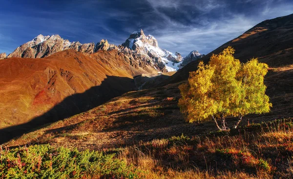 Podzimní Krajina Zasněžené Vrcholy Slunci Hlavní Kavkazský Hřeben Mountain View — Stock fotografie