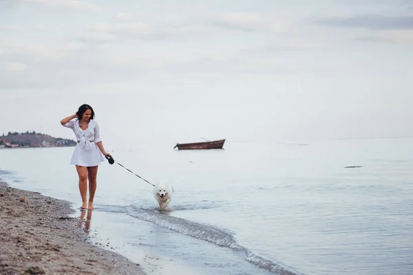 Yürüyen Bir Köpek Ile Sahilde Güzel Esmer Kadın — Stok fotoğraf