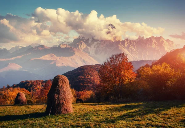 Podzimní Alej Fantastický Kupovité Mraky Dramatické Nebe Západ Slunce Karpatská — Stock fotografie