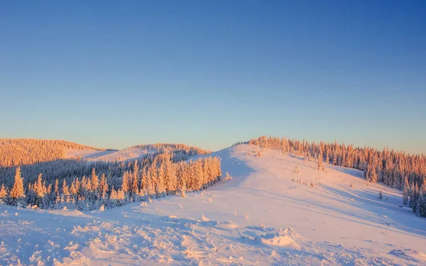 Misterioso Paesaggio Invernale Maestose Montagne Tramonto Invernale Magico Albero Coperto — Foto Stock