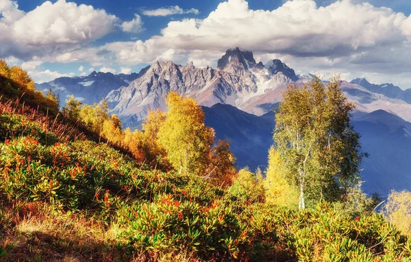Dichter Nebel Über Dem Passgoulet Georgien Svaneti Europa Kaukasusgebirge — Stockfoto