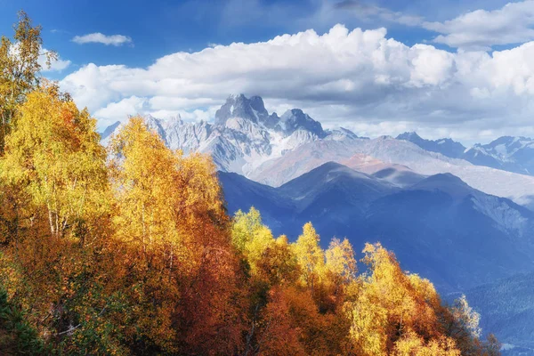 Hustá Mlha Horský Průsmyk Goulet Podzimní Krajina Gruzie Svanetie Evropě — Stock fotografie