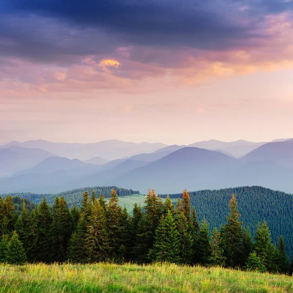 Schöne Sommerliche Berglandschaft Blaue Farbe Der Berge Bei Sonnenuntergang Dramatische — Stockfoto
