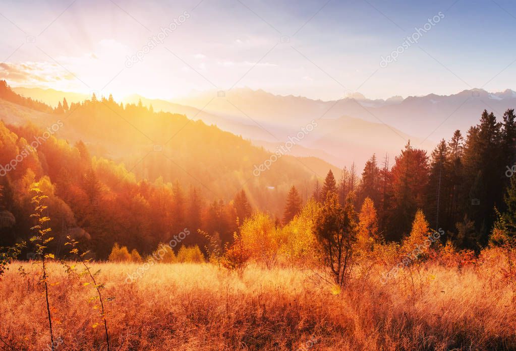 mountain range in the Carpathian Mountains in the autumn season. Fantastic sunset. Ukraine, Europe.