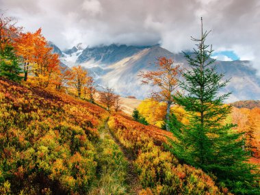 Sonbahar sezonu Karpat dağlarında dağ. Fantastik günbatımı. Ukrayna, Europe.
