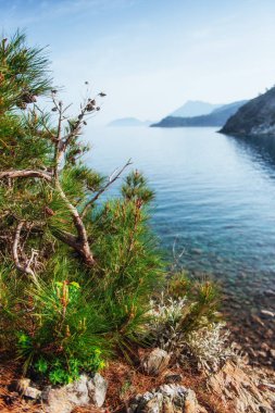 mavi deniz dalgası Akdeniz akşamları Türk kıyısında. Türkiye