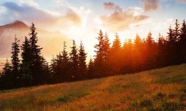 Sonbahar dağ manzarası harika. Olay sırasında turuncu. Dramatik sahne. Karpat, Ukrayna Europe sanat fotoğraf