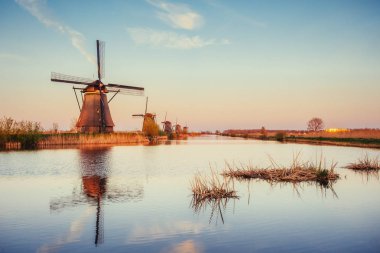 Rotterdam kanaldan geleneksel Hollanda yel değirmenleri. Hollanda.