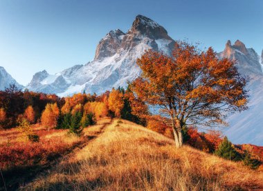 Sabah güneş ışığı altında karlı zirveleri fantastik kolaj. Sonbahar manzara. Sanat fotoğrafçılık. Ana Kafkas Ridge. Gürcistan. Europe