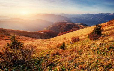 Sonbahar sezonu Karpat dağlarında dağ. Fantastik günbatımı. Ukrayna, Europe.