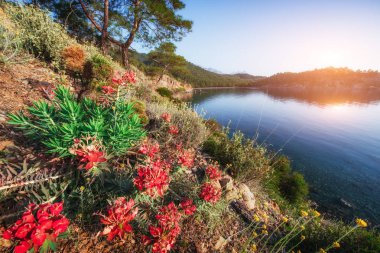 Panoramik deniz kıyısında. Güzellik dünya. Türkiye