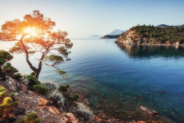Panoramik deniz kıyısında. Güzellik dünya. Türkiye