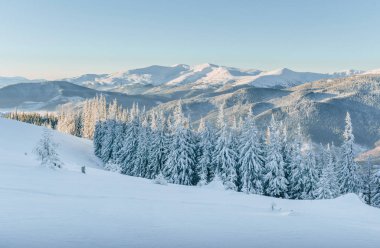 Kışın gizemli kış manzara görkemli dağlar. Tatil beklentisiyle. Dramatik kış sahne. Yeni Yılınız Kutlu Olsun. Karpat. Ukrayna.