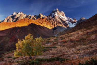 Sonbahar manzara ve karlı dağ zirveleri. Huş ağacı orman güneş ışığı altında. Ana Kafkas Ridge. Mountain View Dağı dır Mheyer, Gürcistan'dan. Europe