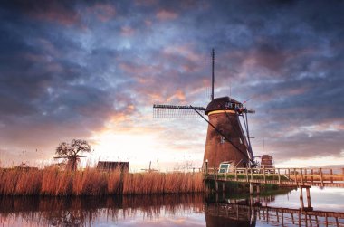 Hollanda yel değirmenleri için önde gelen Rotterdam kanala yolun. Holland. Hollanda 