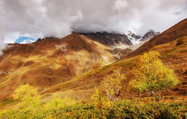 Sonbahar manzara ve karlı dağ zirveleri. Huş ağacı orman güneş ışığı altında. Ana Kafkas Ridge. Mountain View Dağı dır Mheyer, Gürcistan Avrupa'dan