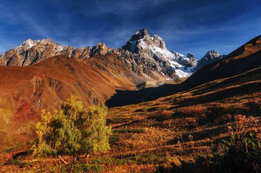 Sonbahar manzara ve güneşin karlı zirveleri. Ana Kafkas Ridge. Mountain View Dağı dır Mheyer, Gürcistan'dan. Europe