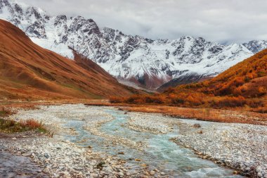 Karlı dağlar ve gürültülü dağ nehir. Georgia, Svaneti Avrupa