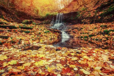 Şelale sonbahar güneş ışığı altında. Karpatlar. Ukrayna Europe