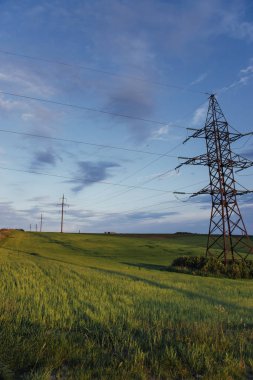 Buğday alan fantastik günbatımı.