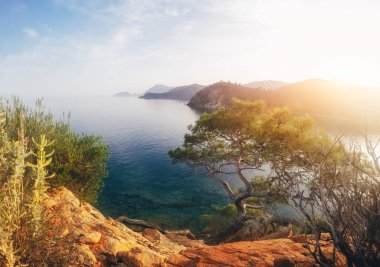 Panoramik deniz kıyısında. Güzellik Dünya Türkiye