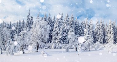arka plan ile bazı yumuşak parlak nokta ve kar kış manzara ağaçlar ve hoarfrost çit, pul