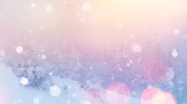 Kışın gizemli kış manzara görkemli dağlar. Sihirli kış kar kaplı ağaç. Fotoğraf tebrik kartı. Bokeh ışık efekti, yumuşak filtre. Karpat. Ukrayna. Europe